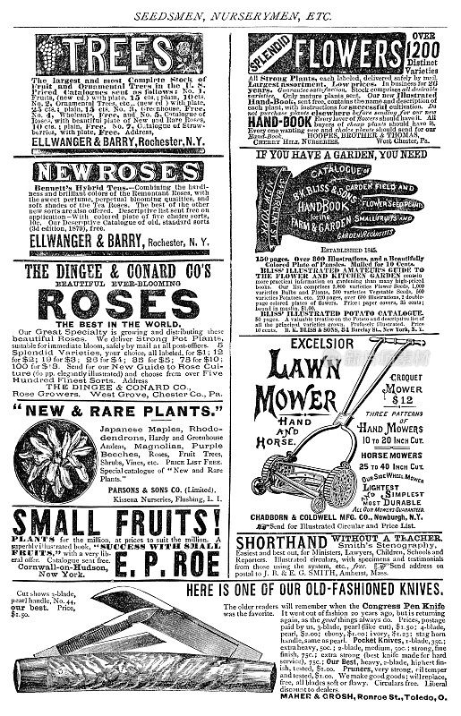 维多利亚时代各种商品和服务的广告- 19世纪